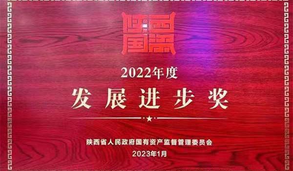 發展進步獎.jpg